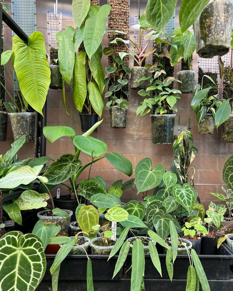 A picture of the Plantcarefully indoor garden