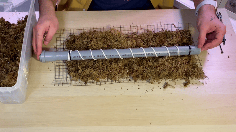 PVC pipe wrapped to be a self-watering sphagnum moss pole