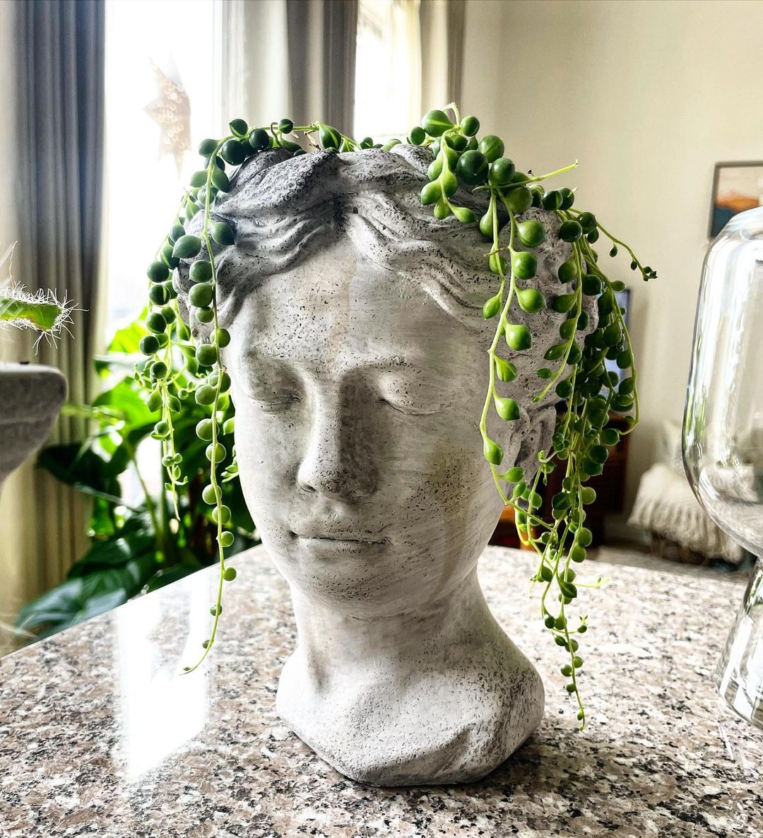 String of Pearls Plant Care & Growing Tips! Plantcarefully